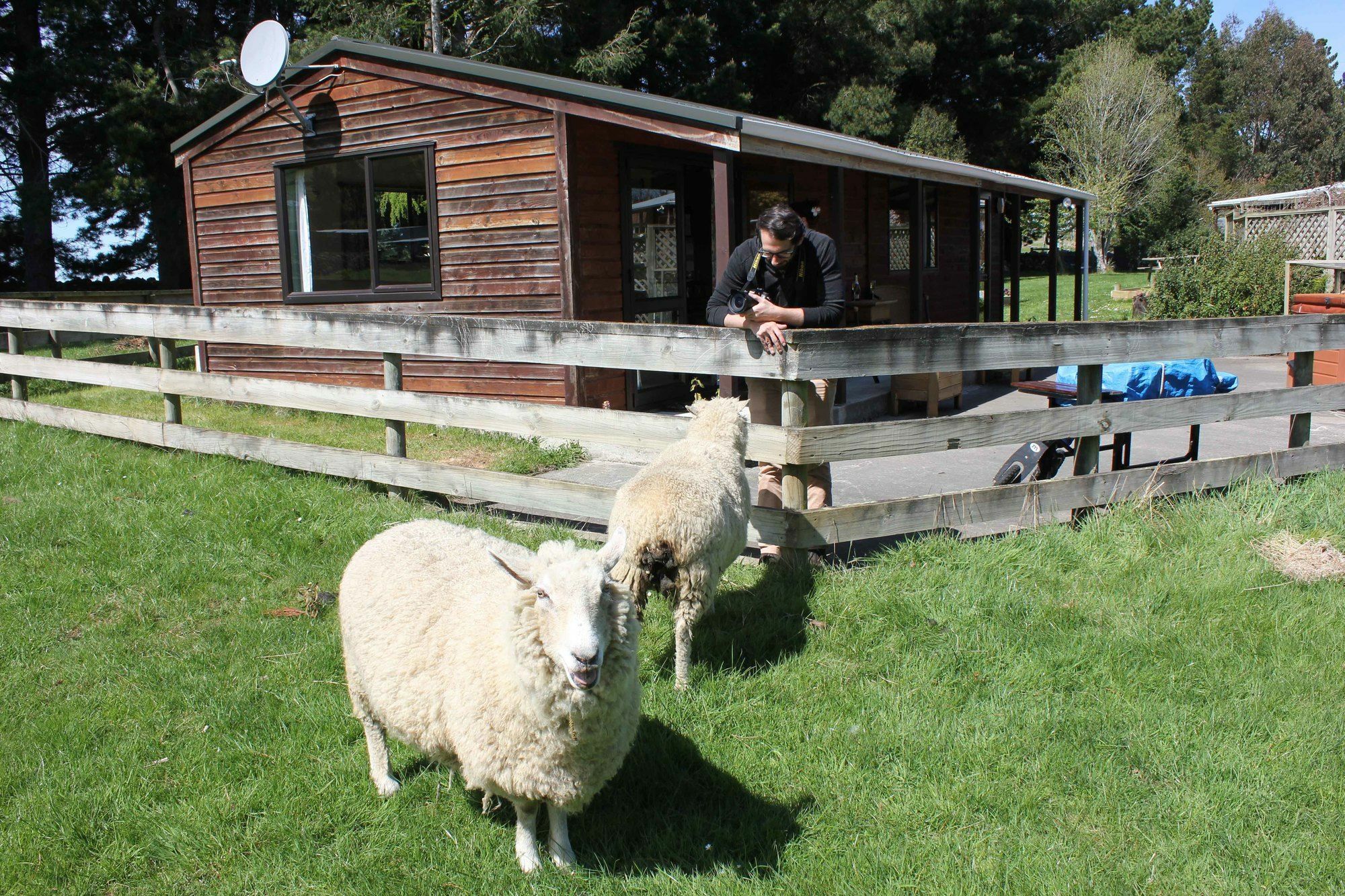 Height Of Dunedin Serviced Farm Stay Extérieur photo